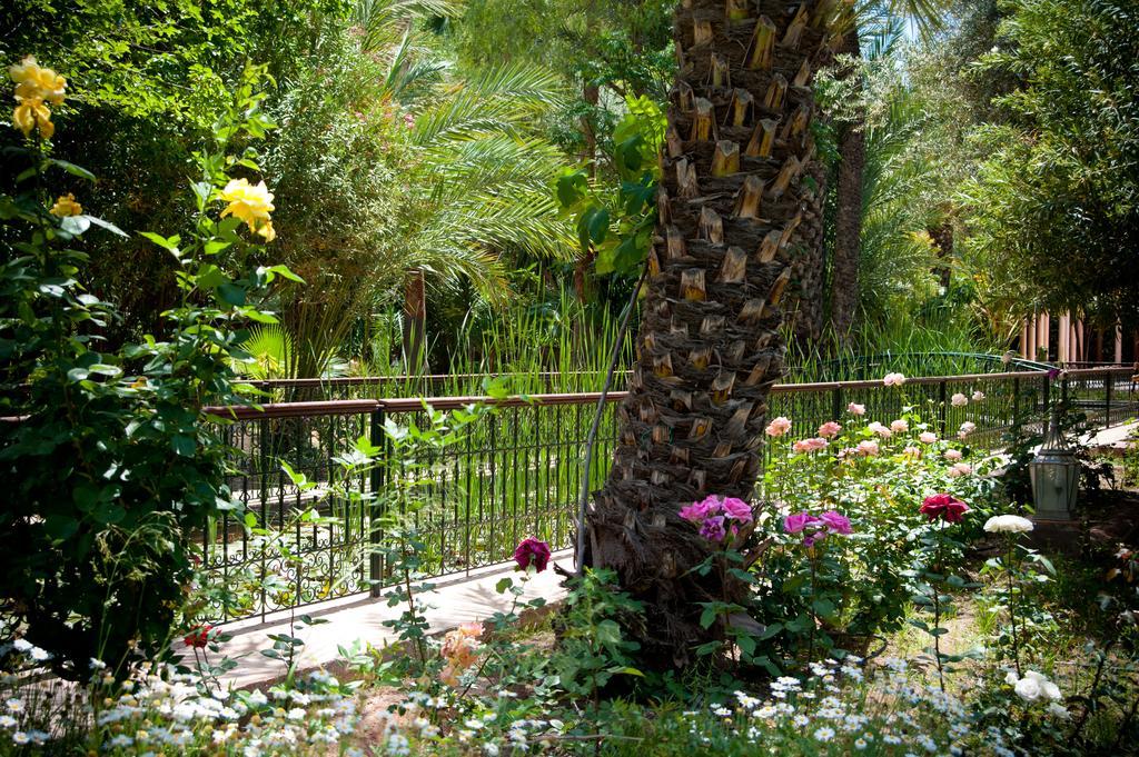Dar Ayniwen Garden Hotel & Bird Zoo Marrakesh Esterno foto
