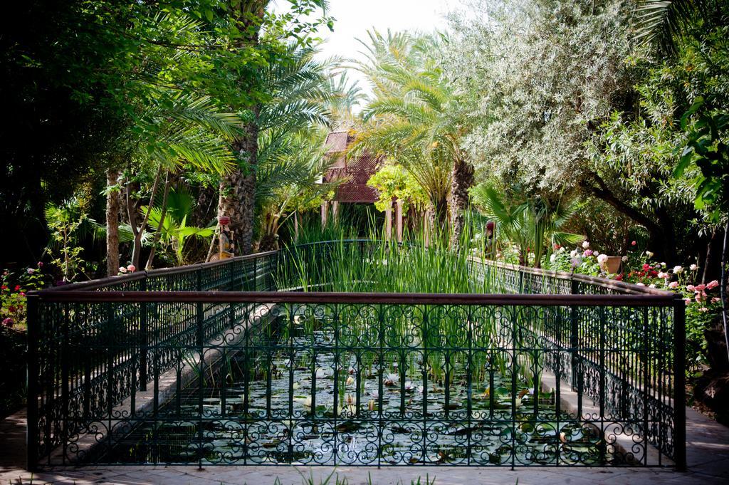 Dar Ayniwen Garden Hotel & Bird Zoo Marrakesh Esterno foto