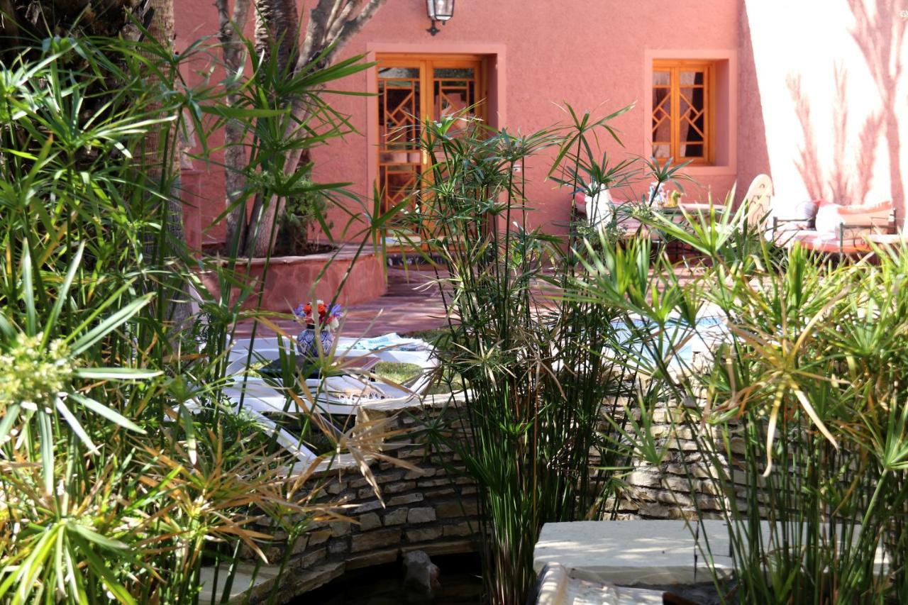 Dar Ayniwen Garden Hotel & Bird Zoo Marrakesh Esterno foto